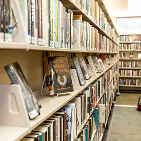 Shelves of books at the orion library
