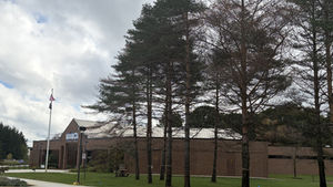 Grounds Improvement Project: Tree Removal and French Drain Construction